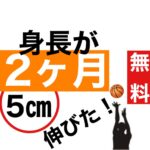身長